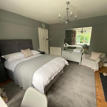 Florence House Exeter Bagian luar foto